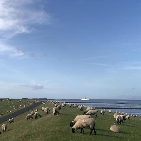 Wind Und Meer - Traumhaft An Der Nordsee Норддайх Екстериор снимка