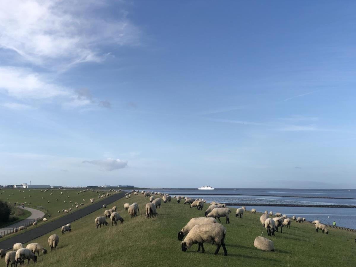 Wind Und Meer - Traumhaft An Der Nordsee Норддайх Екстериор снимка